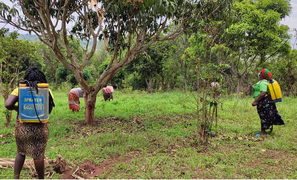 Agriculture