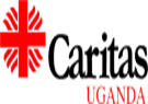 Partner organisation logo