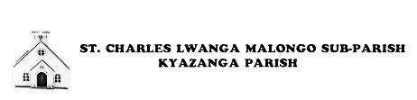 Partner organisation logo